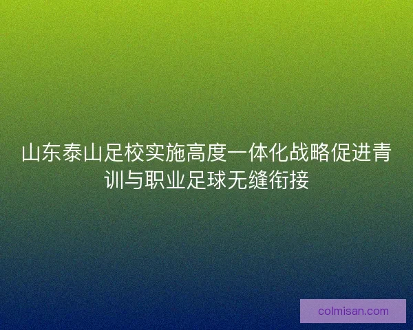 山东泰山足校实施高度一体化战略促进青训与职业足球无缝衔接